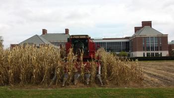Photo of a combine harvesting corn by the IGB
