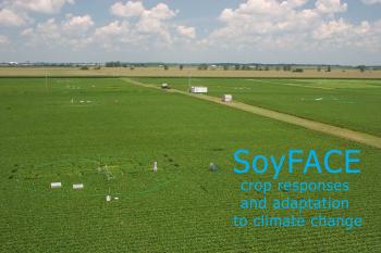 Photo of a crop field with the text: "SoyFACE crop responses and adaptation to climate change"