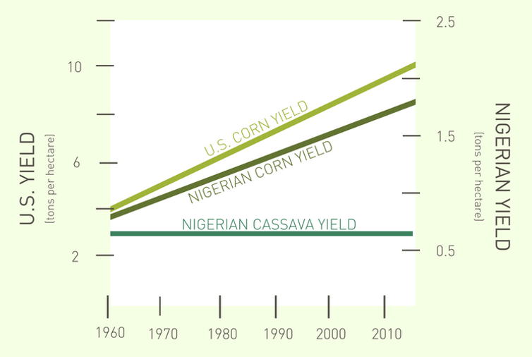 graph of historical yield of corn and cassava