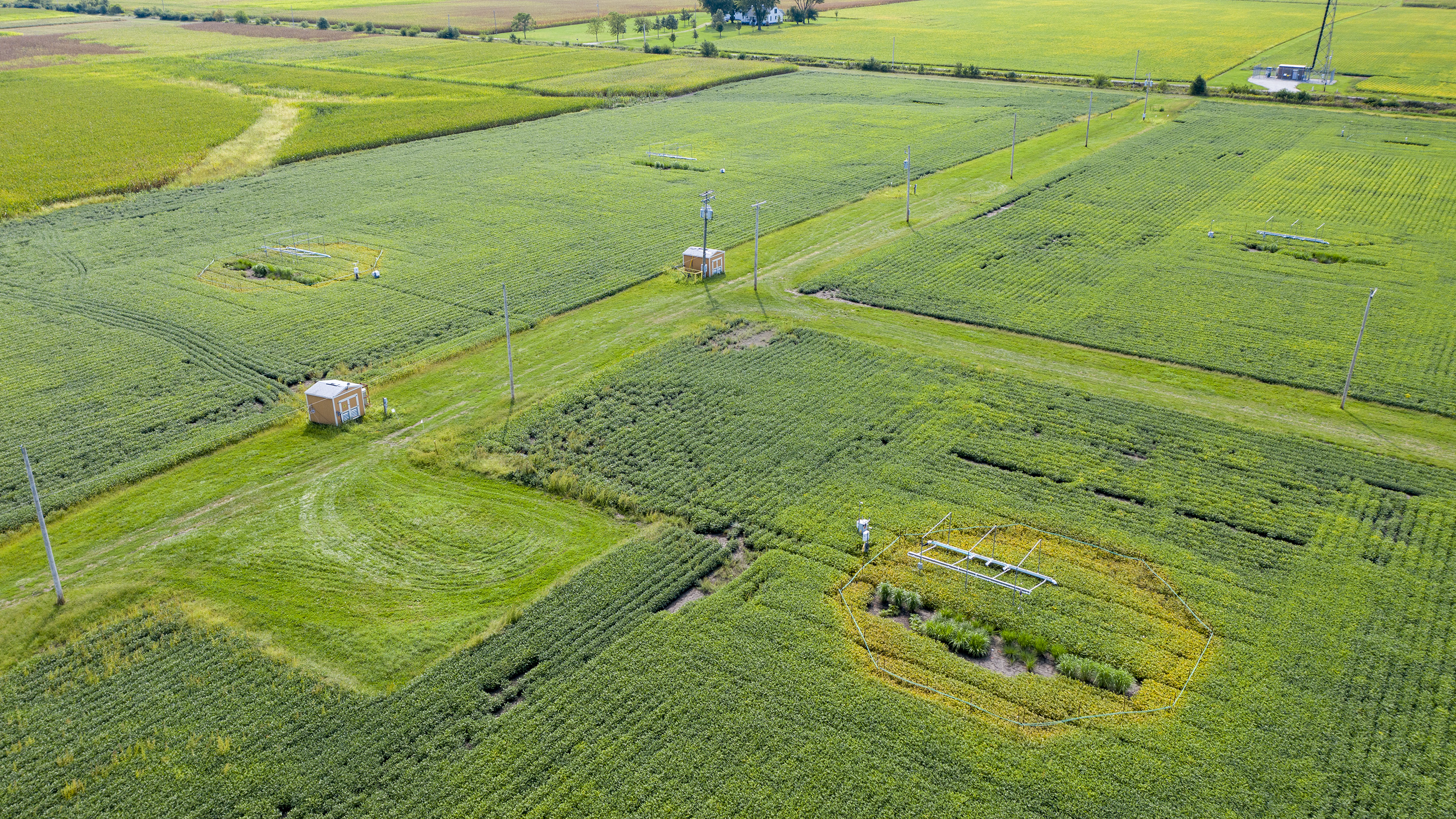 An aerial image of the SoyFACE research facility.