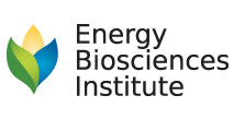 Energy Biosciences Institute Logo