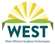 small West logo.png