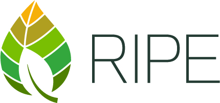 RIPE logo