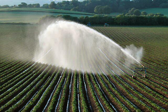 crop irrigation