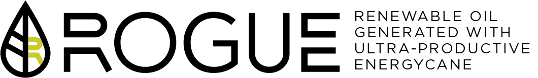 ROGUE logo