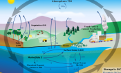 carbon cycle