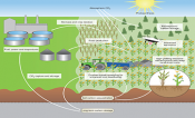 Photosynthesis by bioengineered resource-efficient, high-yielding crop varieties cultivated using advanced agronomic practices increase food production, and soil organic carbon storage is enhanced by deep recalcitrant roots.