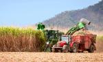 sugarcane harvester