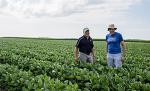 Steve Long and Don Ort stand in a soybean field.