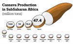 cassava production graphic