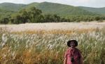 Erik Sacks with Miscanthus