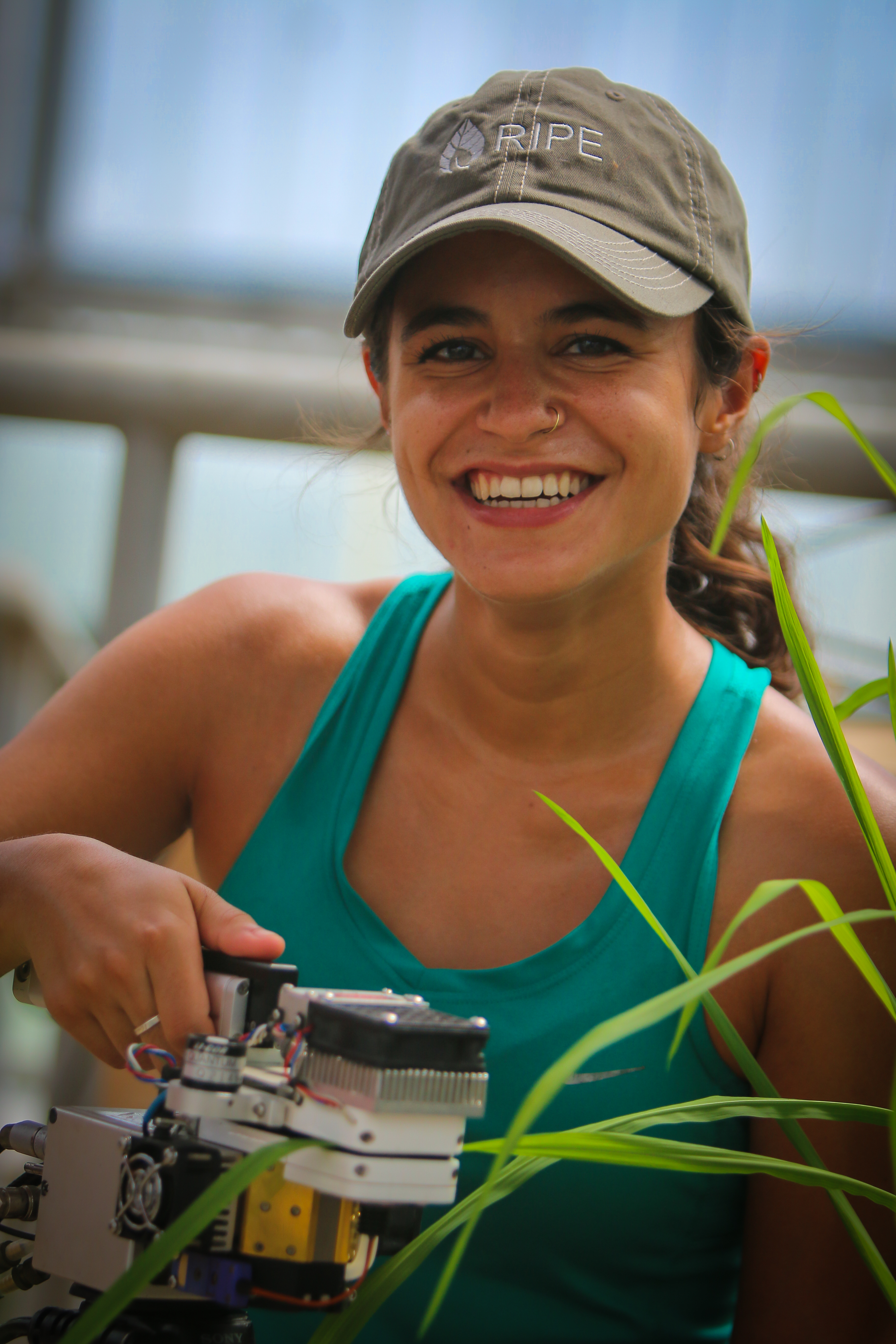 Liana measures the photosynthetic efficiency of a rice plant. 